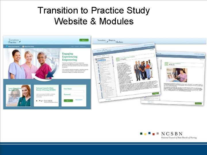 Transition to Practice Study Website & Modules 