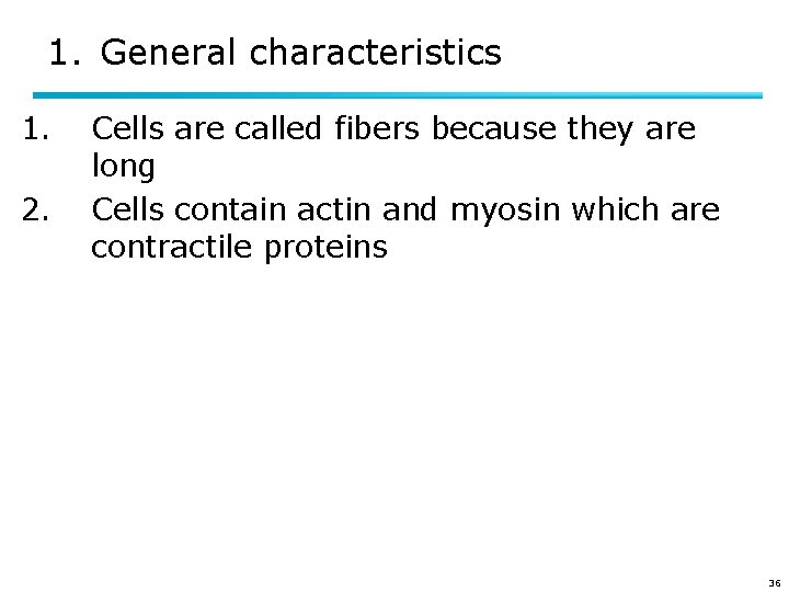 1. General characteristics 1. 2. Cells are called fibers because they are long Cells