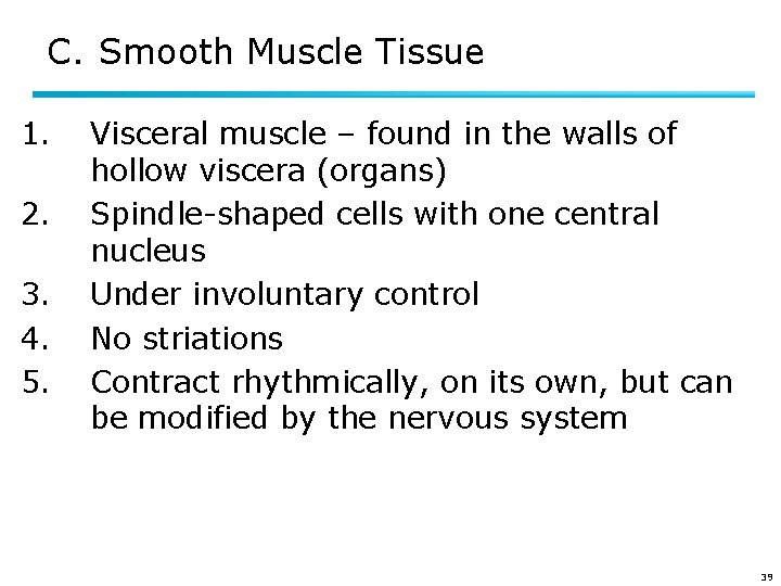 C. Smooth Muscle Tissue 1. 2. 3. 4. 5. Visceral muscle – found in