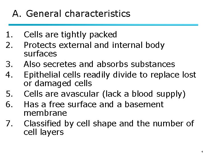 A. General characteristics 1. 2. 3. 4. 5. 6. 7. Cells are tightly packed