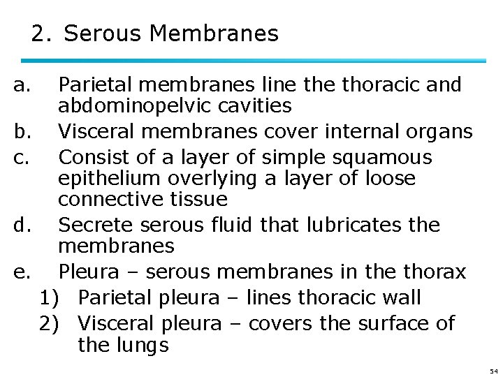 2. Serous Membranes a. Parietal membranes line thoracic and abdominopelvic cavities b. Visceral membranes
