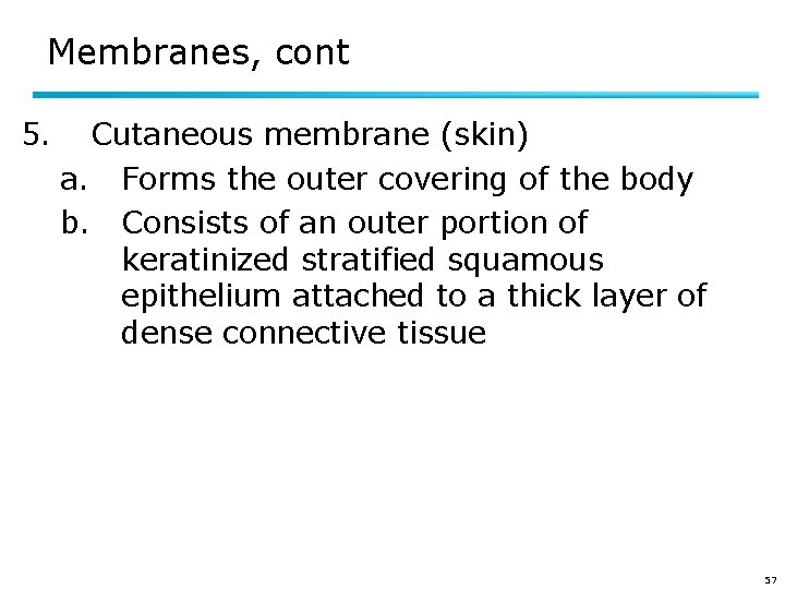 Membranes, cont 5. Cutaneous membrane (skin) a. Forms the outer covering of the body