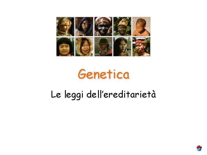 Genetica Le leggi dell’ereditarietà Genetica Le leggi dell’ereditarietà
