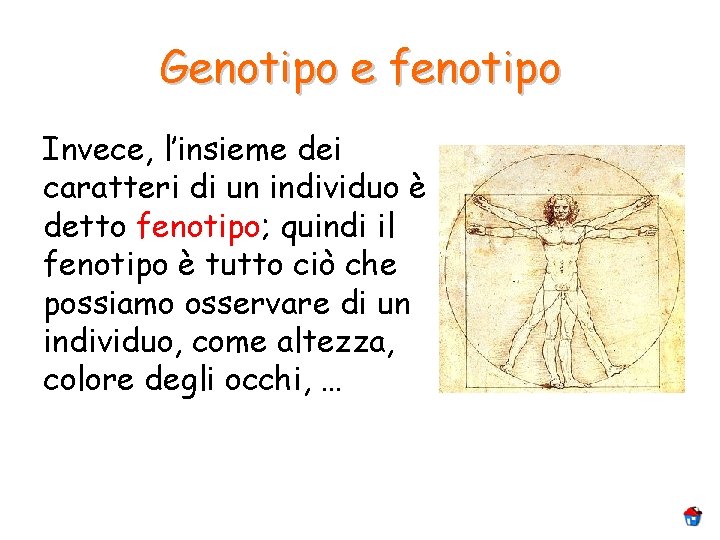 Genotipo e fenotipo Invece, l’insieme dei caratteri di un individuo è detto fenotipo; quindi