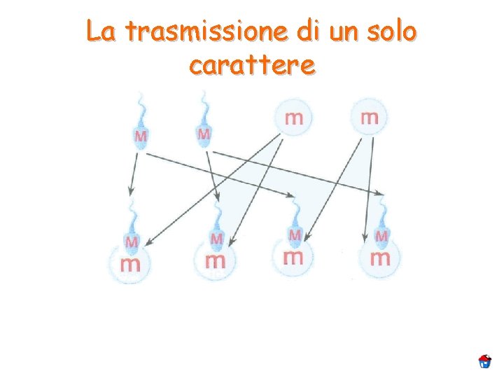 La trasmissione di un solo carattere 