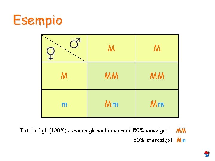 Esempio M MM MM m Mm Mm Tutti i figli (100%) avranno gli occhi