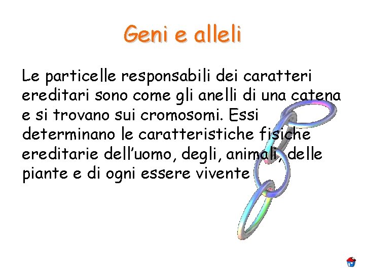 Geni e alleli Le particelle responsabili dei caratteri ereditari sono come gli anelli di