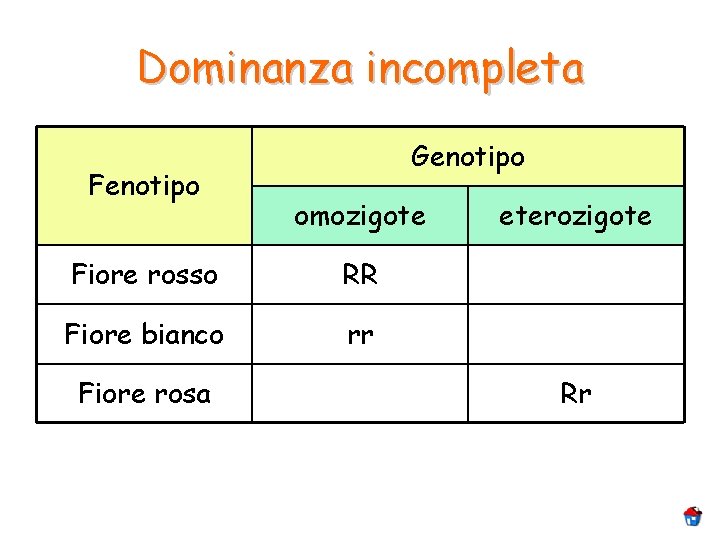 Dominanza incompleta Fenotipo Genotipo omozigote Fiore rosso RR Fiore bianco rr Fiore rosa eterozigote