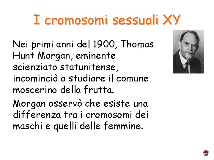 I cromosomi sessuali XY Nei primi anni del 1900, Thomas Hunt Morgan, eminente scienziato I cromosomi sessuali XY Nei primi anni del 1900, Thomas Hunt Morgan, eminente scienziato