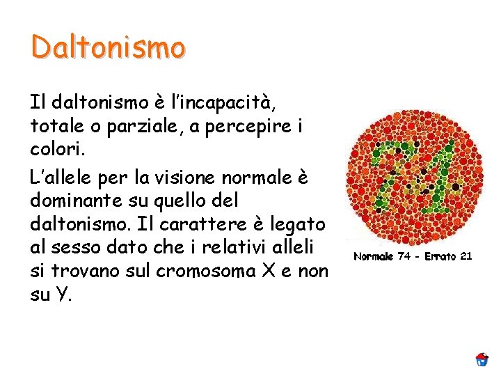 Daltonismo Il daltonismo è l’incapacità, totale o parziale, a percepire i colori. L’allele per Daltonismo Il daltonismo è l’incapacità, totale o parziale, a percepire i colori. L’allele per
