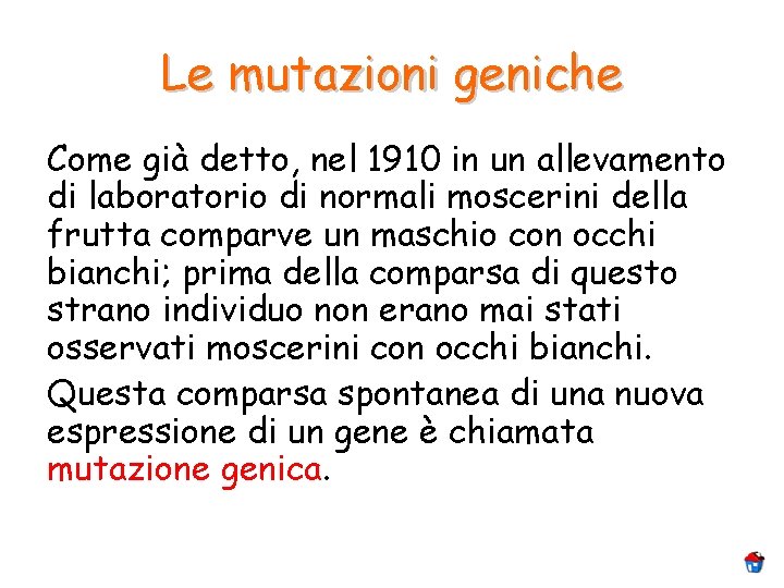 Le mutazioni geniche Come già detto, nel 1910 in un allevamento di laboratorio di