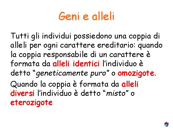 Geni e alleli Tutti gli individui possiedono una coppia di alleli per ogni carattere Geni e alleli Tutti gli individui possiedono una coppia di alleli per ogni carattere