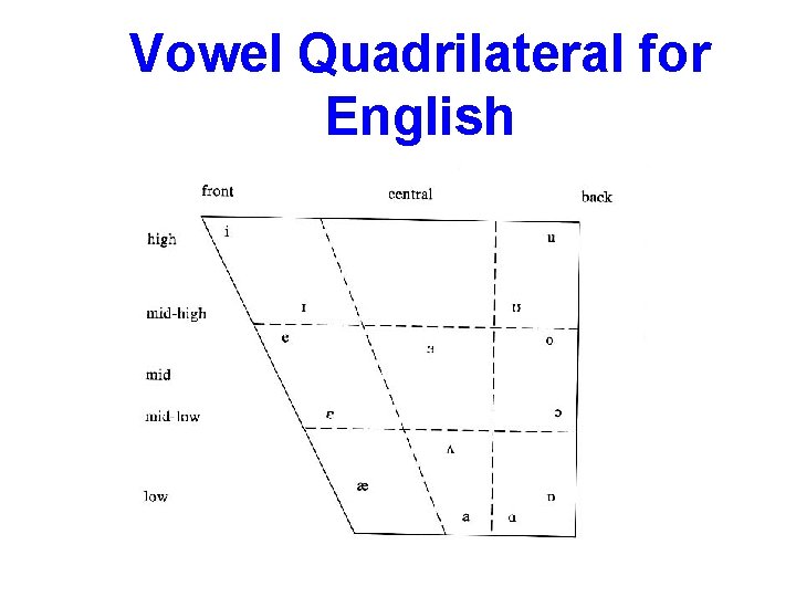 Vowel Quadrilateral for English 
