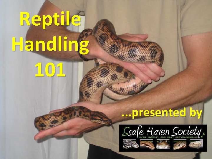 Reptile Handling 101. . . presented by 