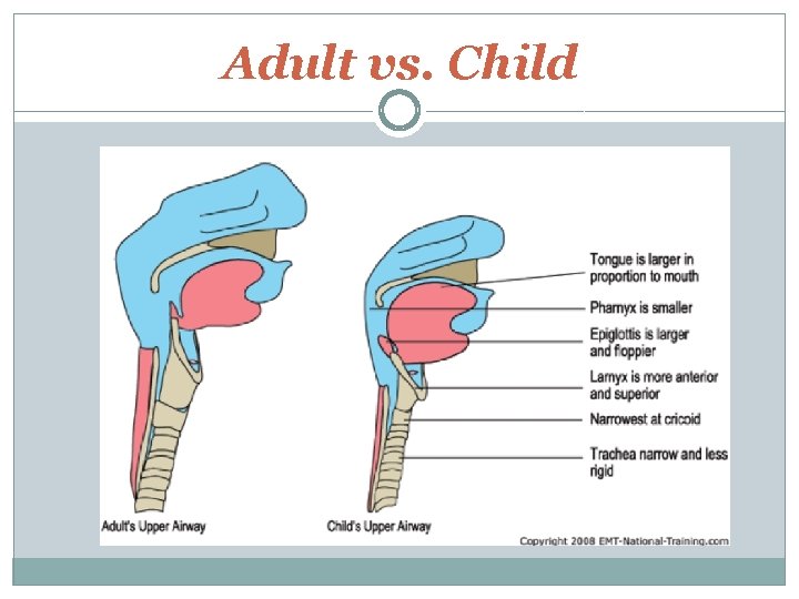 Adult vs. Child 