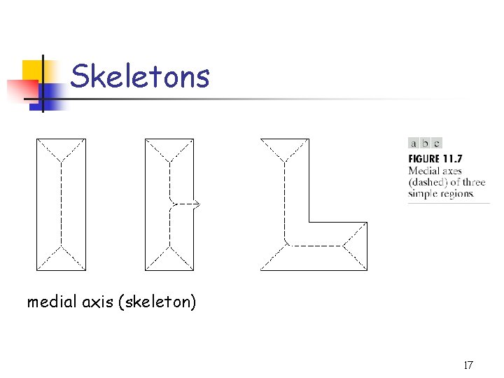 Skeletons medial axis (skeleton) 17 