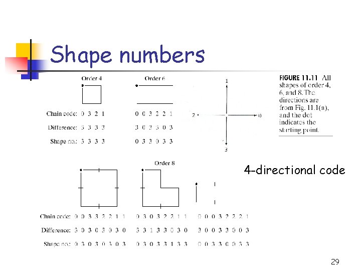 Shape numbers 4 -directional code 29 