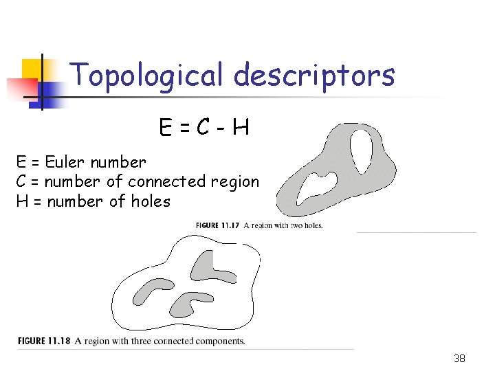 Topological descriptors E=C-H E = Euler number C = number of connected region H