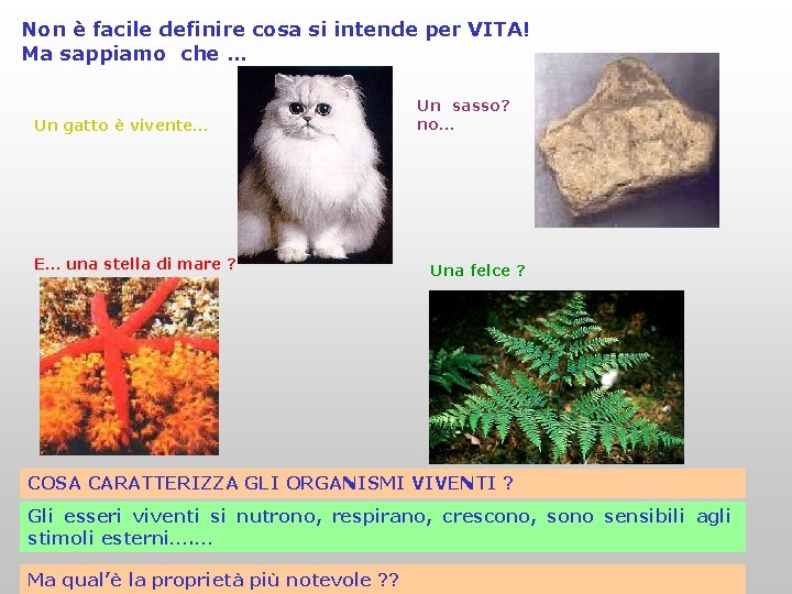Non è facile definire cosa si intende per VITA! Ma sappiamo che … Un Non è facile definire cosa si intende per VITA! Ma sappiamo che … Un