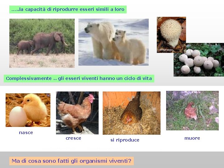 …. . la capacità di riprodurre esseri simili a loro Complessivamente. . gli esseri