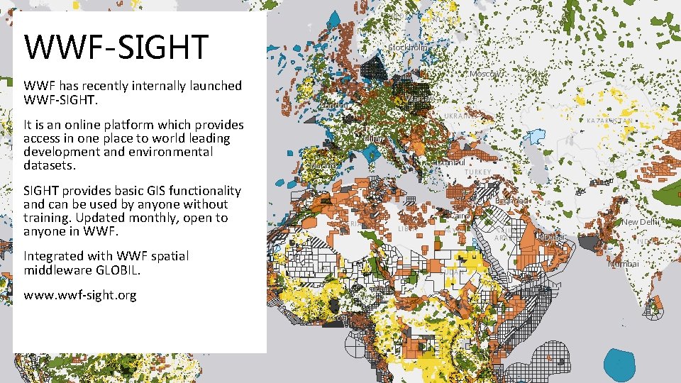 WWF-SIGHT WWF has recently internally launched WWF-SIGHT. It is an online platform which provides