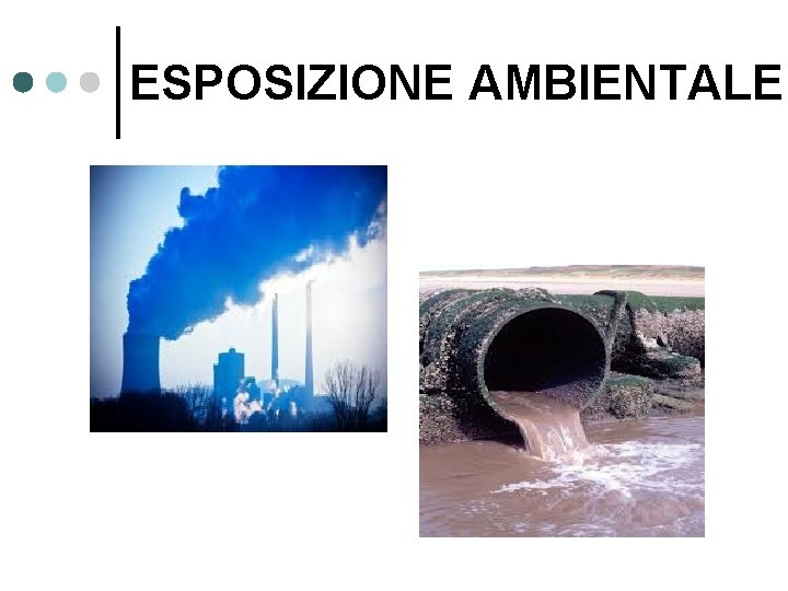 ESPOSIZIONE AMBIENTALE ESPOSIZIONE AMBIENTALE
