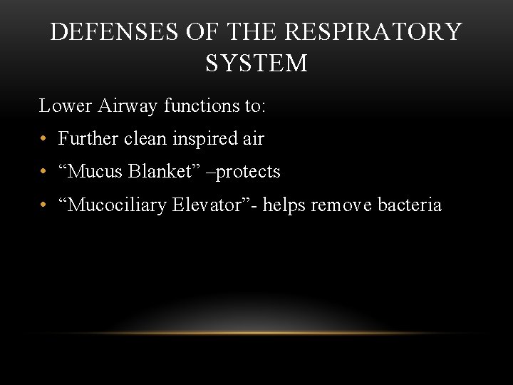 DEFENSES OF THE RESPIRATORY SYSTEM Lower Airway functions to: • Further clean inspired air