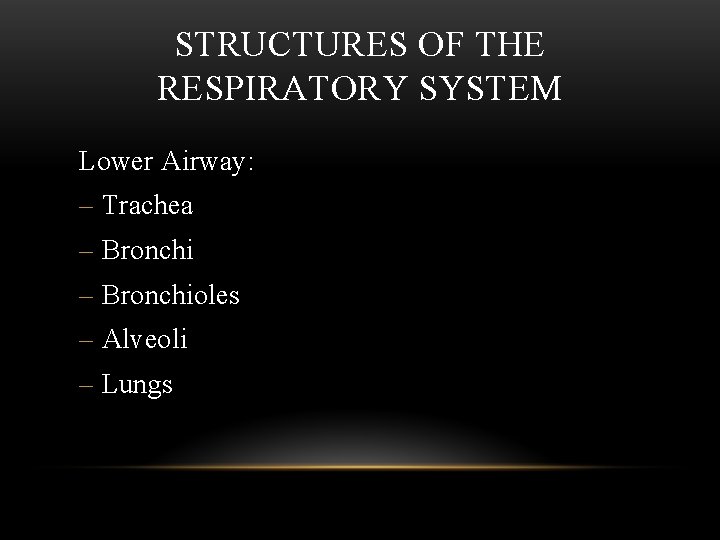 STRUCTURES OF THE RESPIRATORY SYSTEM Lower Airway: – Trachea – Bronchioles – Alveoli –