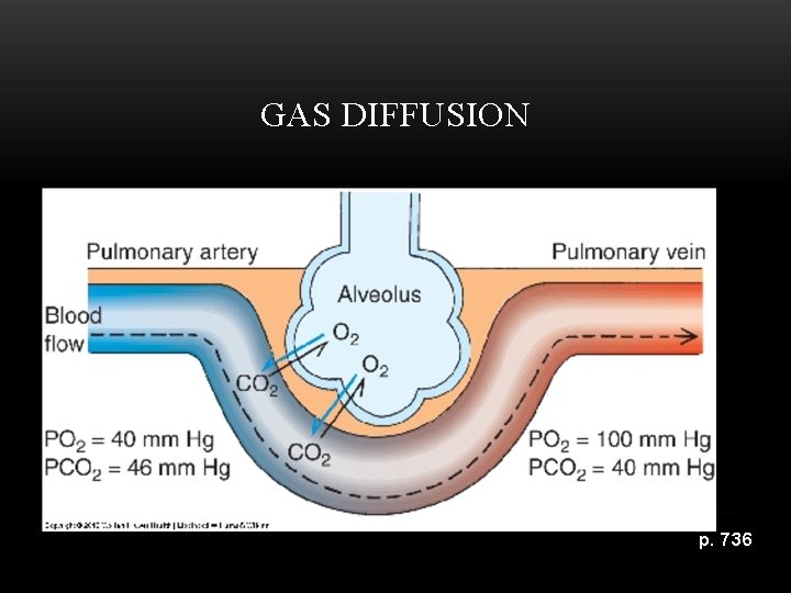 GAS DIFFUSION p. 736 