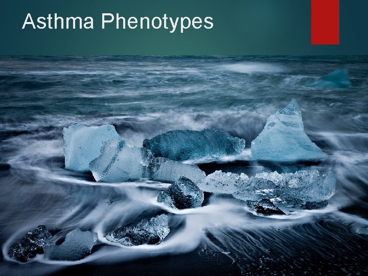 Asthma Phenotypes 