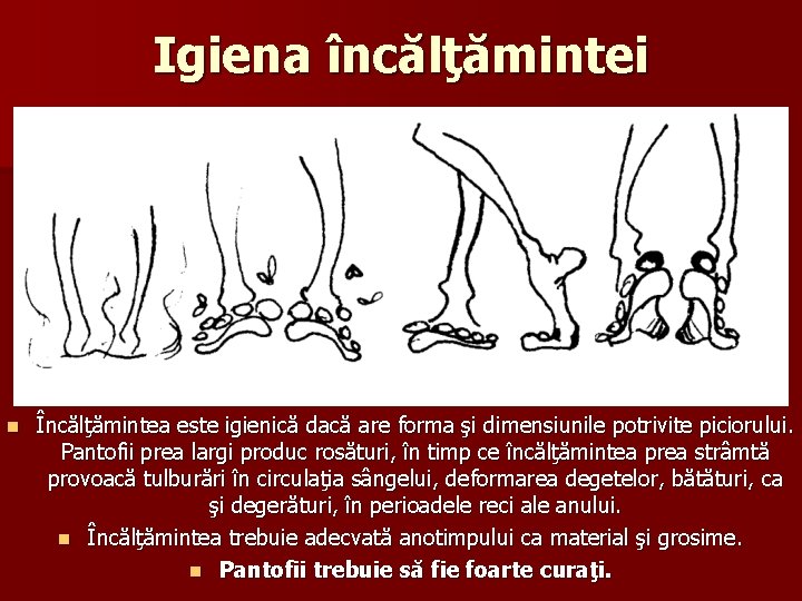 Igiena încălţămintei n Încălţămintea este igienică dacă are forma şi dimensiunile potrivite piciorului. Pantofii