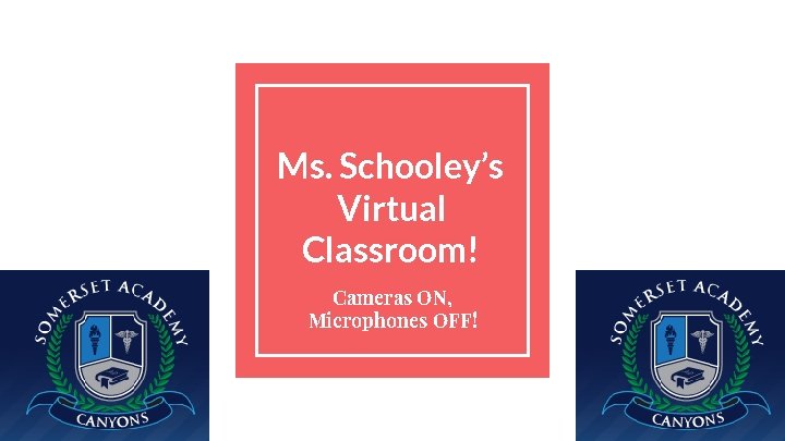Ms. Schooley’s Virtual Classroom! Cameras ON, Microphones OFF! 