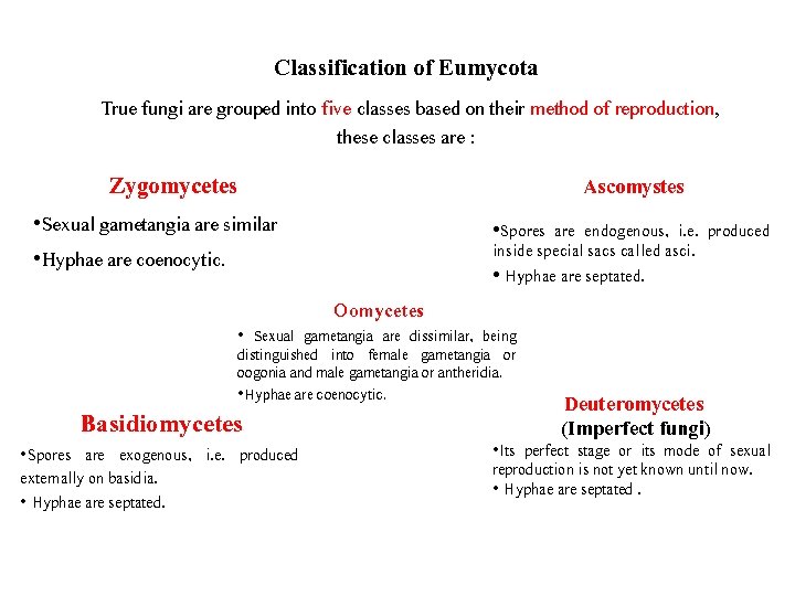 Classification of Eumycota True fungi are grouped into five classes based on their method