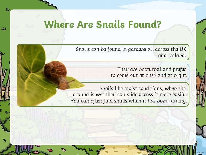 Where Are Snails Found? Snails can be found in gardens all across the UK