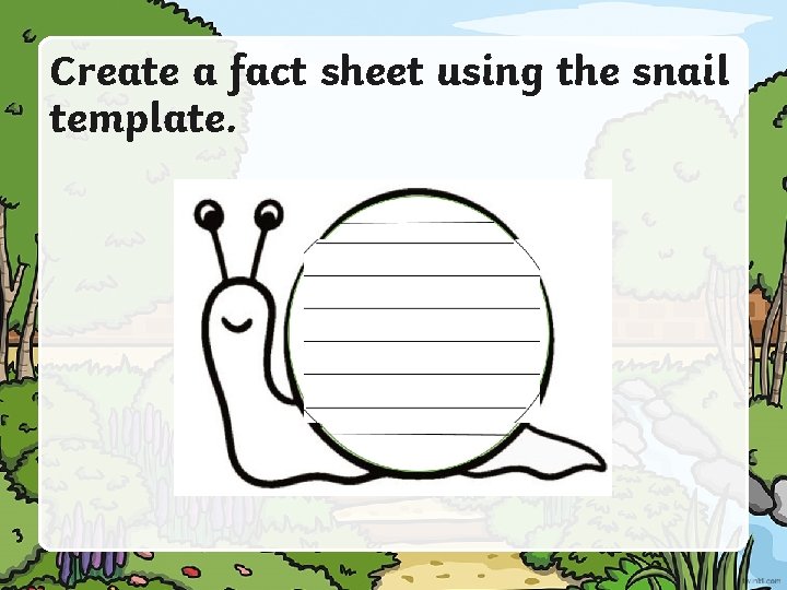 Create a fact sheet using the snail template. 