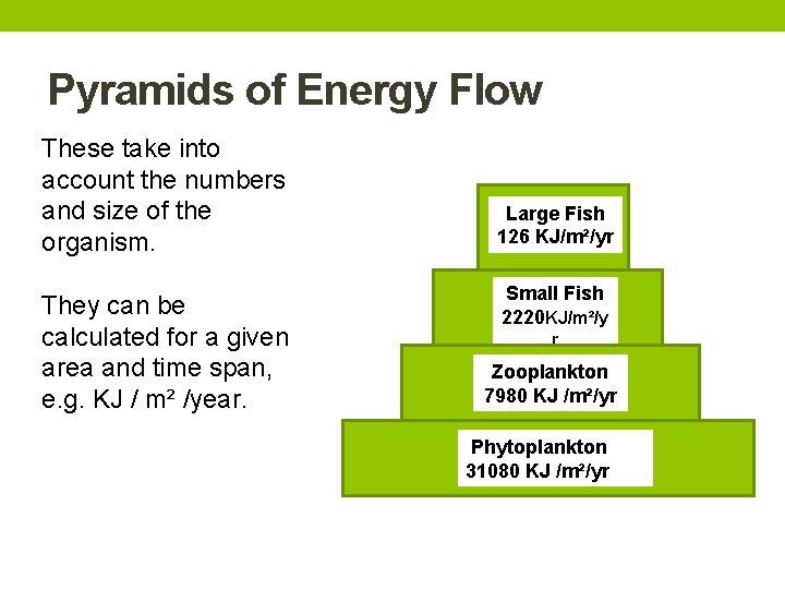 Pyramids of Energy Flow These take into account the numbers and size of the