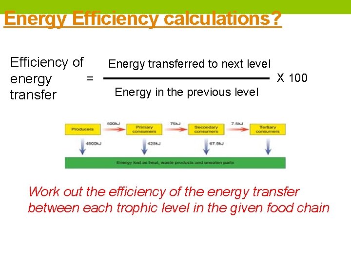 Energy Efficiency calculations? Efficiency of Energy transferred to next level X 100 energy =