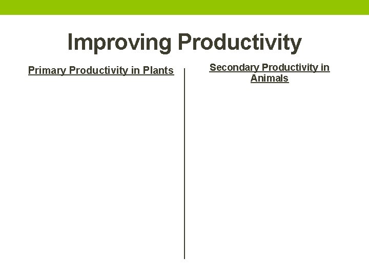 Improving Productivity Primary Productivity in Plants Secondary Productivity in Animals 