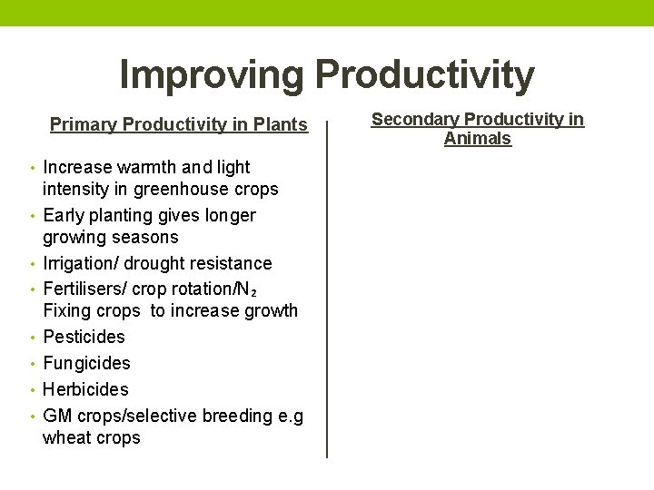 Improving Productivity Primary Productivity in Plants • Increase warmth and light • • intensity