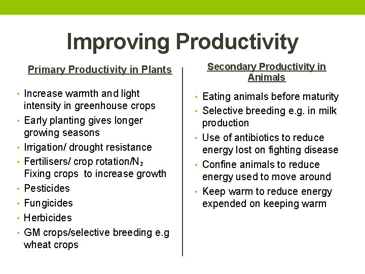 Improving Productivity Primary Productivity in Plants • Increase warmth and light • • intensity
