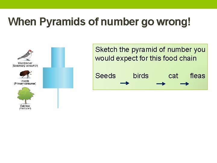 When Pyramids of number go wrong! Sketch the pyramid of number you would expect