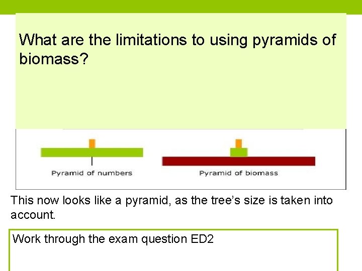 What are the limitations to using pyramids of biomass? This now looks like a