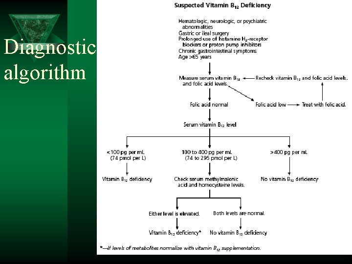 Diagnostic algorithm 