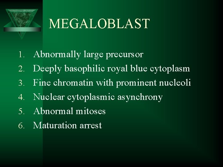 MEGALOBLAST 1. Abnormally large precursor 2. Deeply basophilic royal blue cytoplasm 3. Fine chromatin