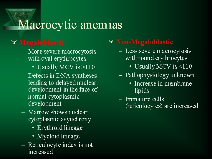 Macrocytic anemias Ú Megaloblastic – More severe macrocytosis with oval erythrocytes • Usually MCV