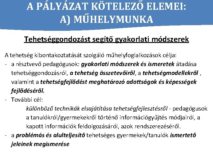 A PÁLYÁZAT KÖTELEZŐ ELEMEI: A) MŰHELYMUNKA Tehetséggondozást segítő gyakorlati módszerek A tehetség kibontakoztatását szolgáló