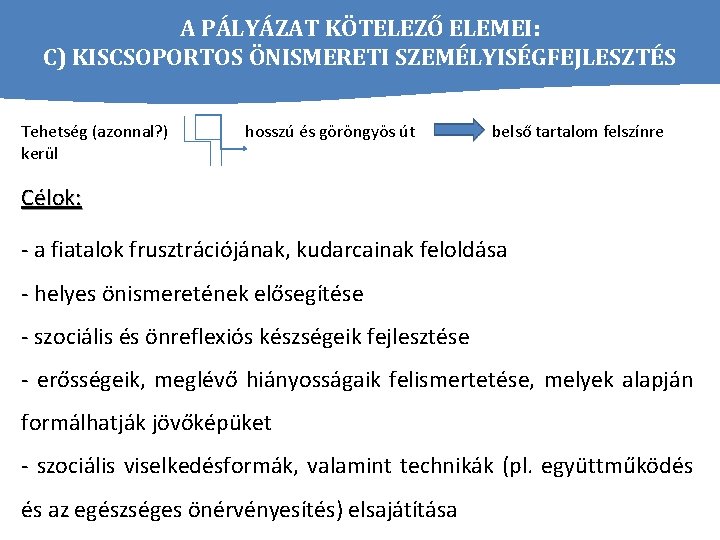 A PÁLYÁZAT KÖTELEZŐ ELEMEI: C) KISCSOPORTOS ÖNISMERETI SZEMÉLYISÉGFEJLESZTÉS Tehetség (azonnal? ) kerül hosszú és