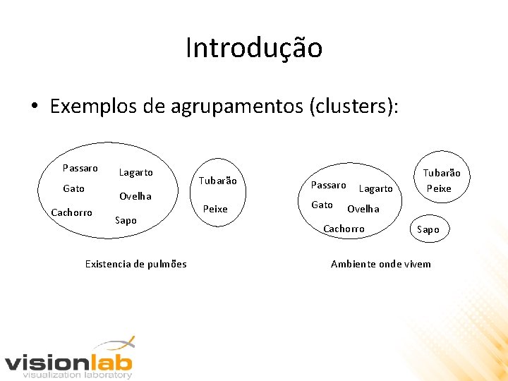 Introdução • Exemplos de agrupamentos (clusters): Passaro Gato Cachorro Lagarto Ovelha Sapo Existencia de