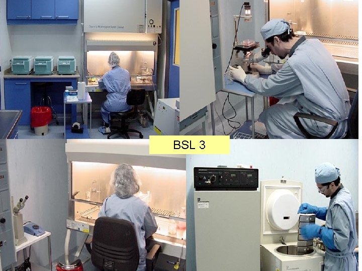 BSL 3 