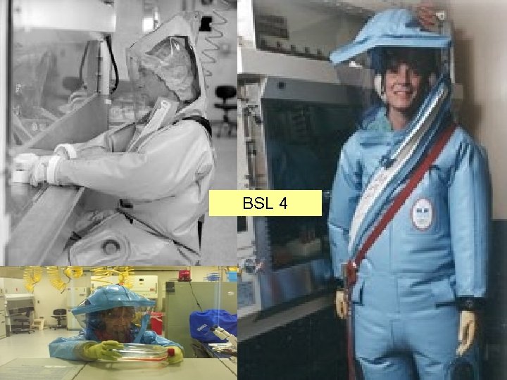 BSL 4 